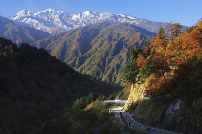 白山スーパー林道紅葉ウオーク