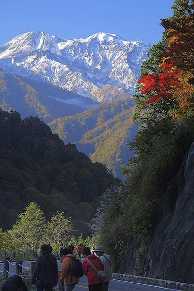 白山スーパー林道紅葉ウオーク